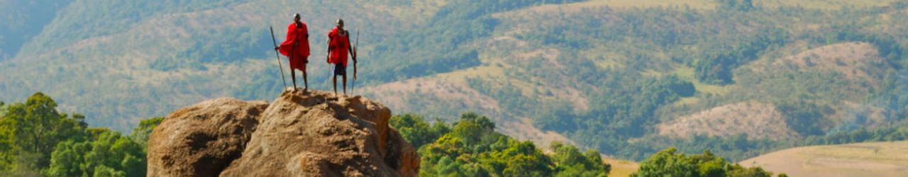 Maji Waterstorage Search