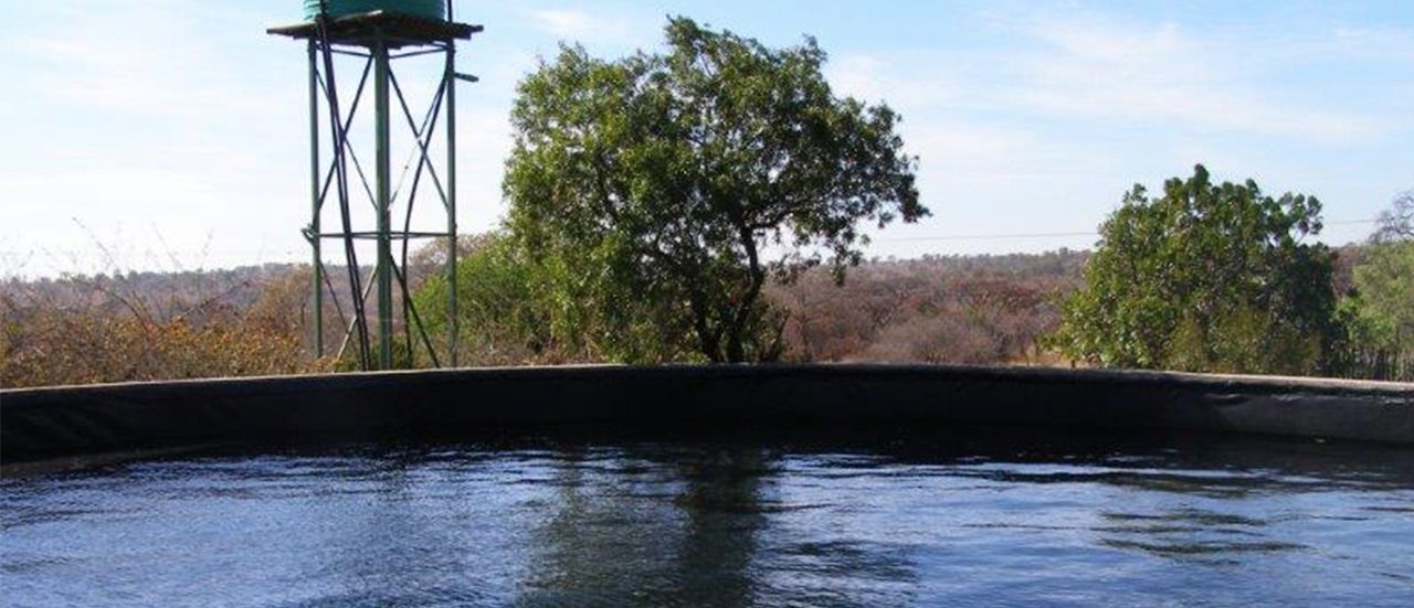 Rain Collection And Purification system